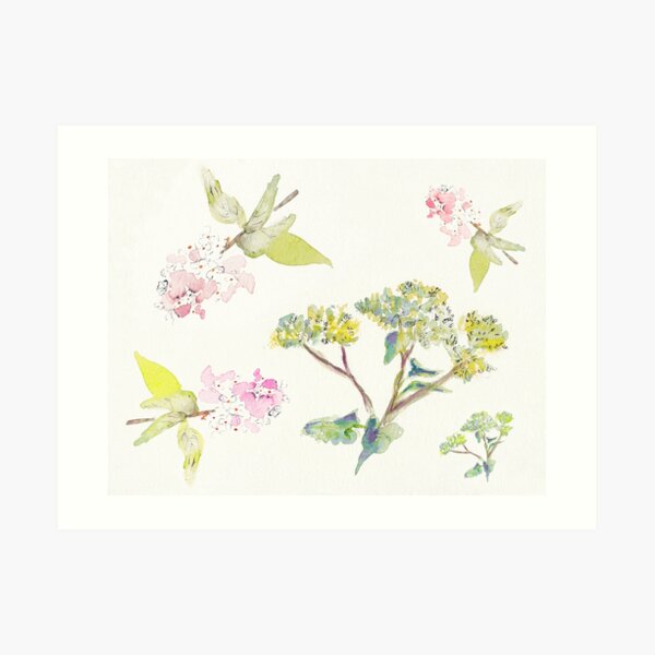 Summer Flowers Art Print
