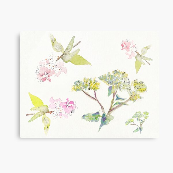Summer Flowers Metal Print