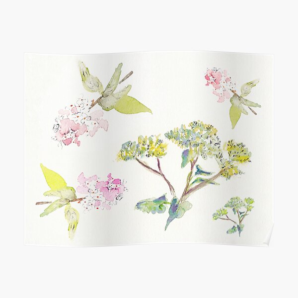 Summer Flowers Poster