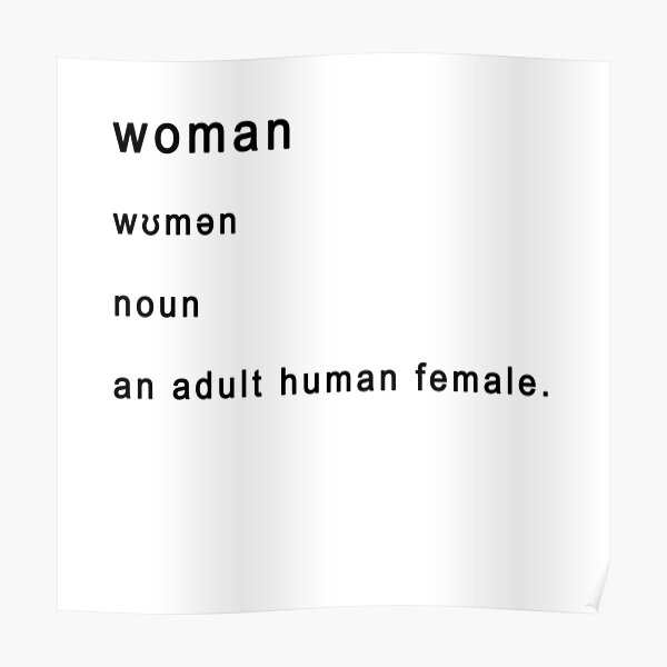 woman-definition-poster-for-sale-by-fatbanana-redbubble