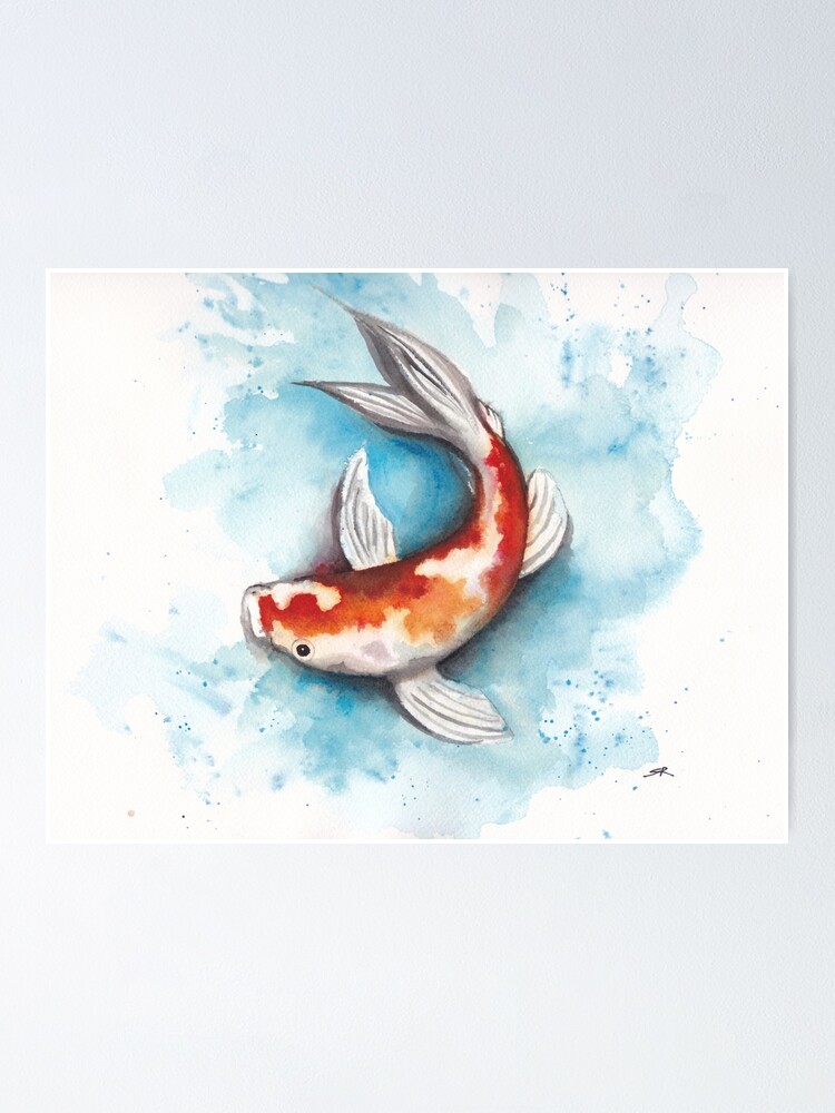 Koi Watercolor Fish' Poster, picture, metal print, paint by DecoyDesign