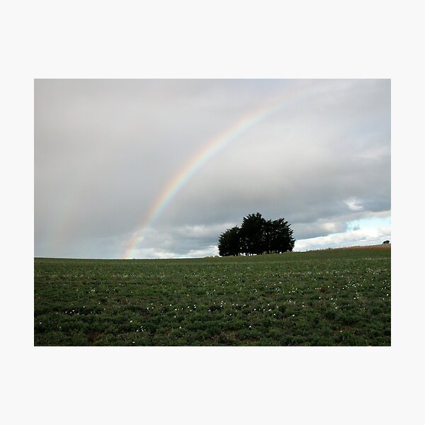 Item preview, Table Cape Rainbow, Northern Tasmania, Australia. designed and sold by kaysharp.