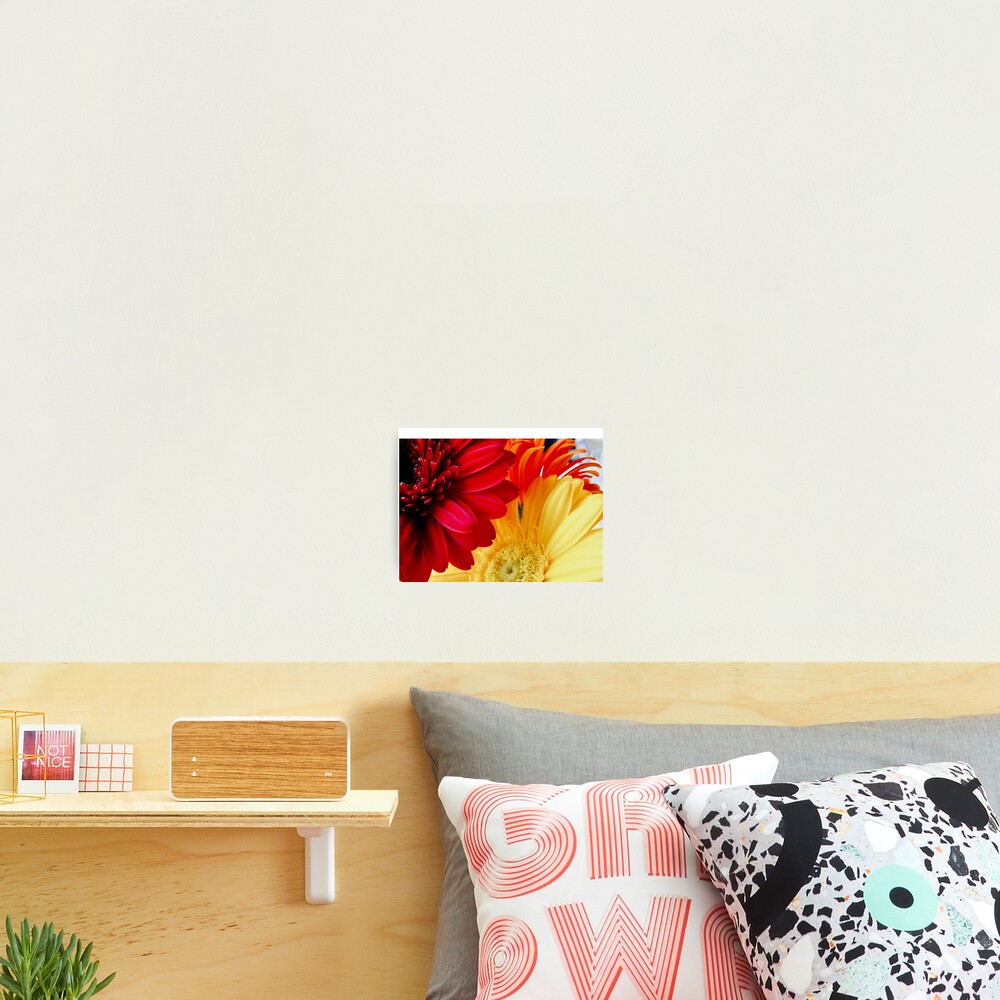 Item preview, Photographic Print designed and sold by chalenica.