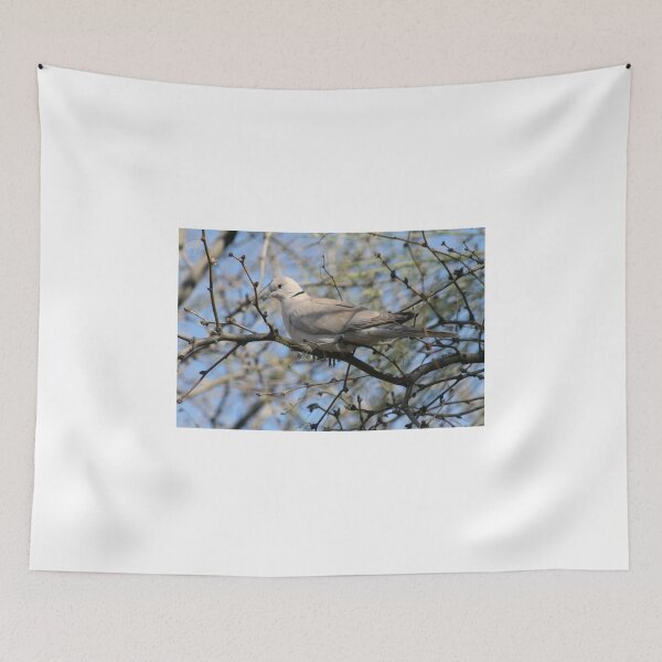 Item preview, Ring Necked Turtle Dove designed and sold by RichImage.