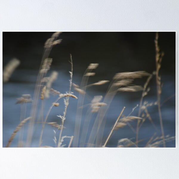 Item preview, Evening Breeze designed and sold by Jenni Greene.