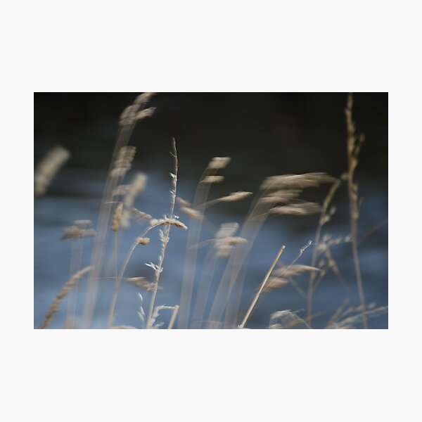 Artikelvorschau, Evening Breeze entworfen und verkauft von Jenni Greene.