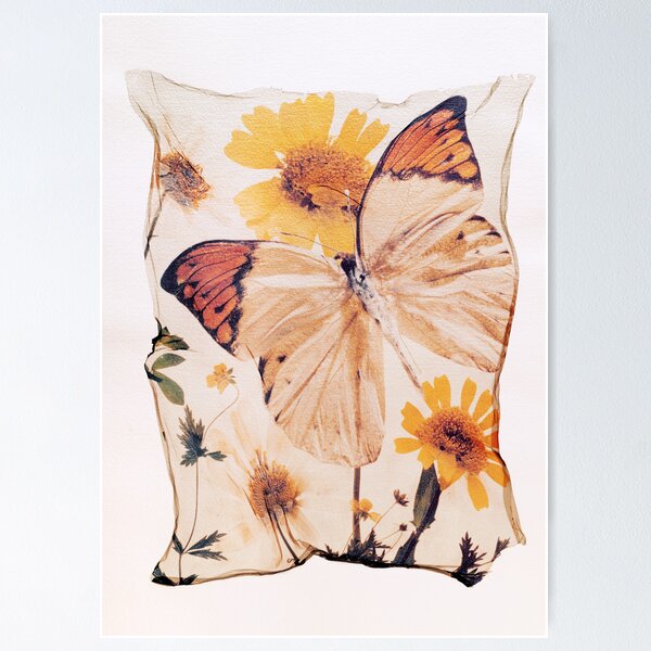 Item preview, Orange Tip Butterfly by Paul Williams designed and sold by photoartgallery.