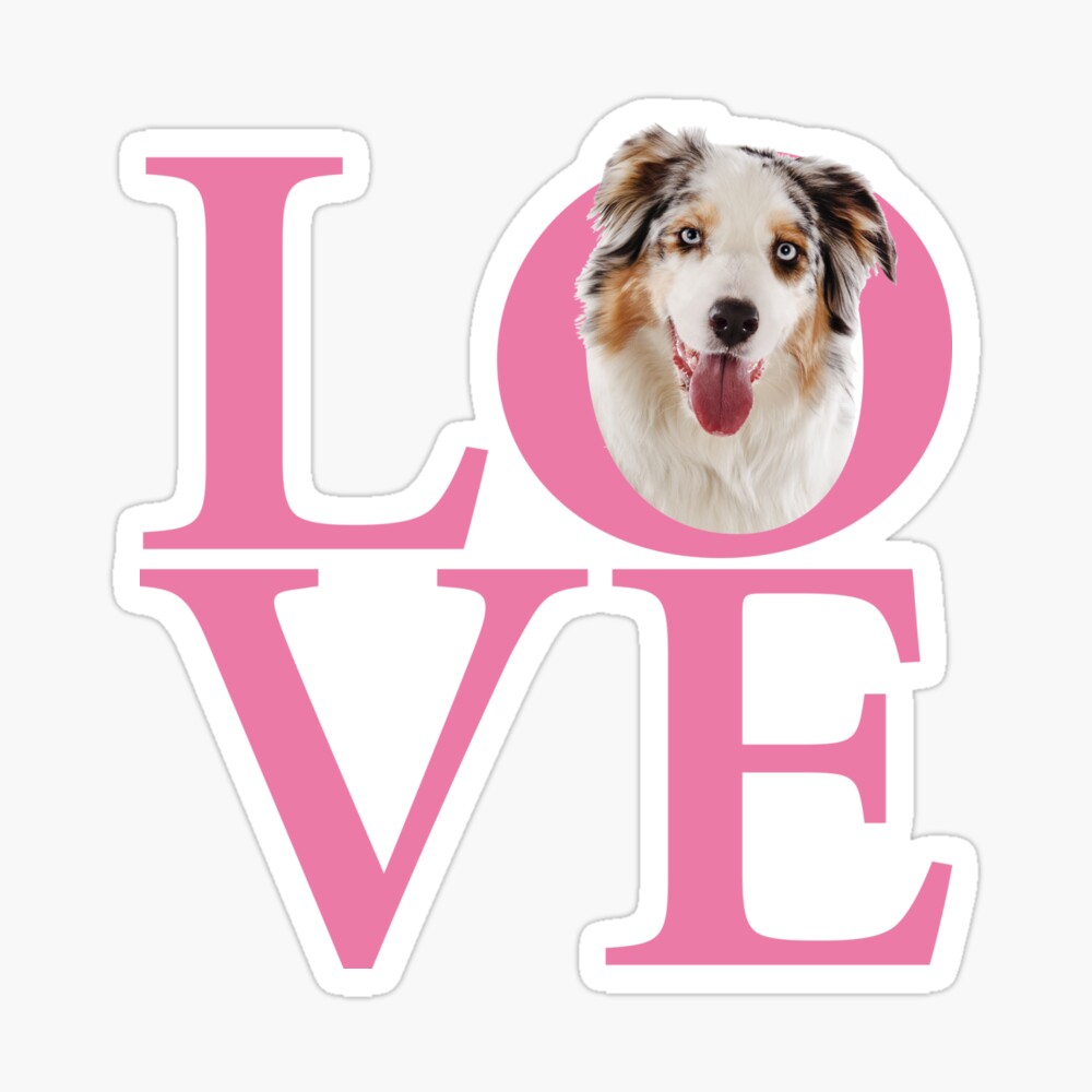 foldable rat playpen