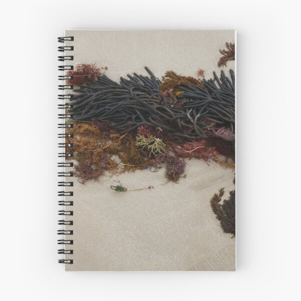 Item preview, Seashore Ikebana 1 designed and sold by beeden.