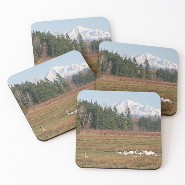 Item preview, Mt Baker and Swans designed and sold by RichImage.