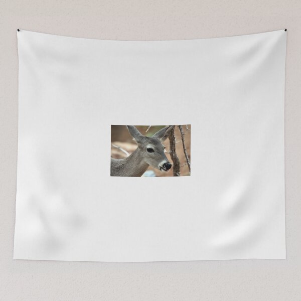 Item preview, Little Deer... designed and sold by RichImage.