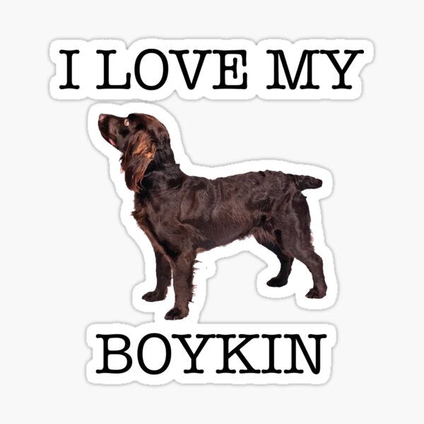 Boykin Spainiel: I love my Boykin with image Sticker