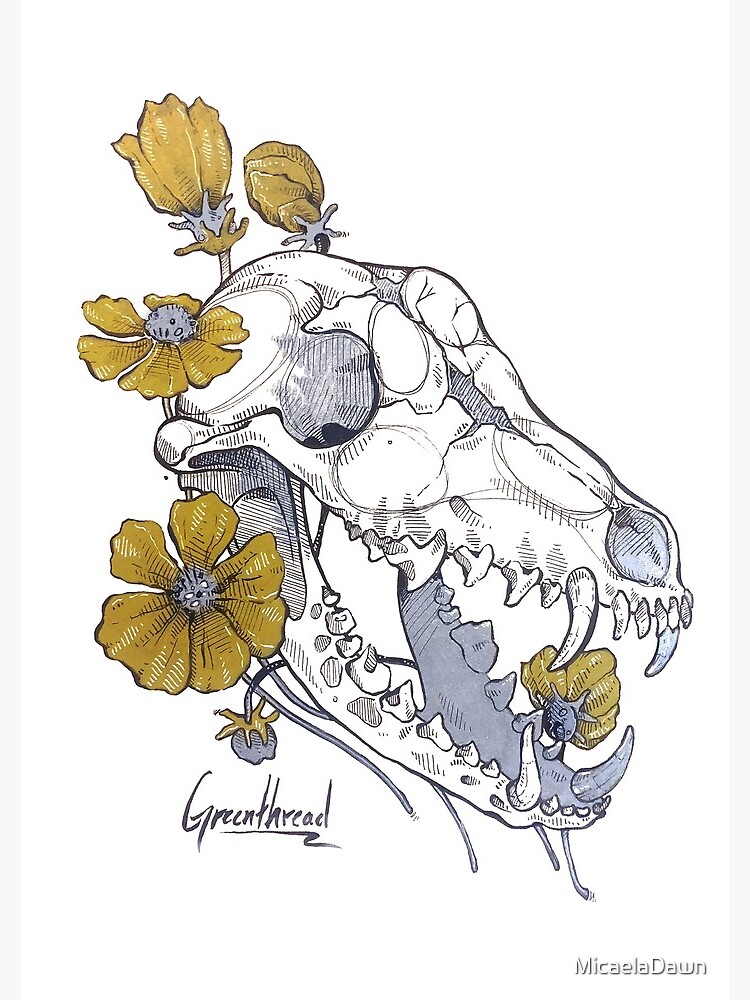 MorbidiTea - Greenthread with Coyote Skull by MicaelaDawn