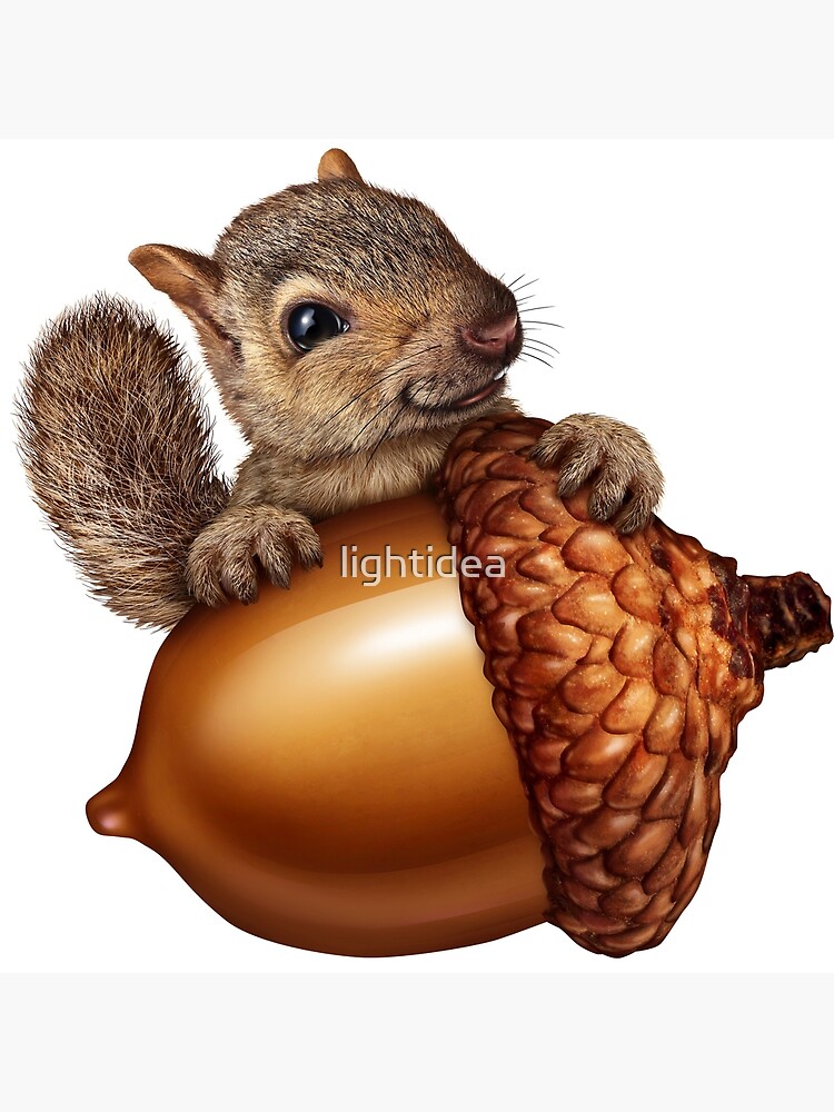 The Acorn Hoard | Squirrel Ball Hammock® Long Johns
