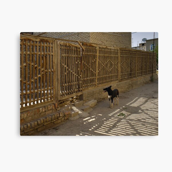 Waiting for my friend Canvas Print