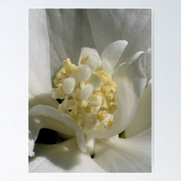 Item preview, White Hibiscus Center designed and sold by art2plunder.