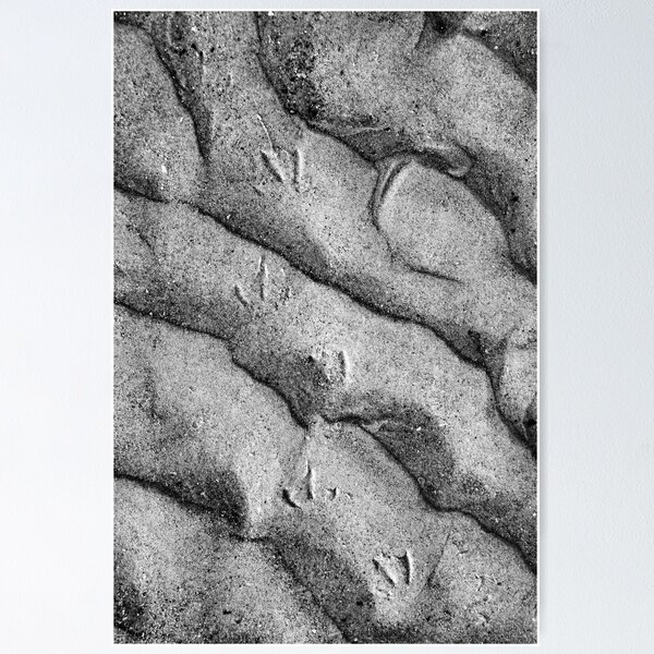 Item preview, Footprints in the Sand designed and sold by Lindamell.