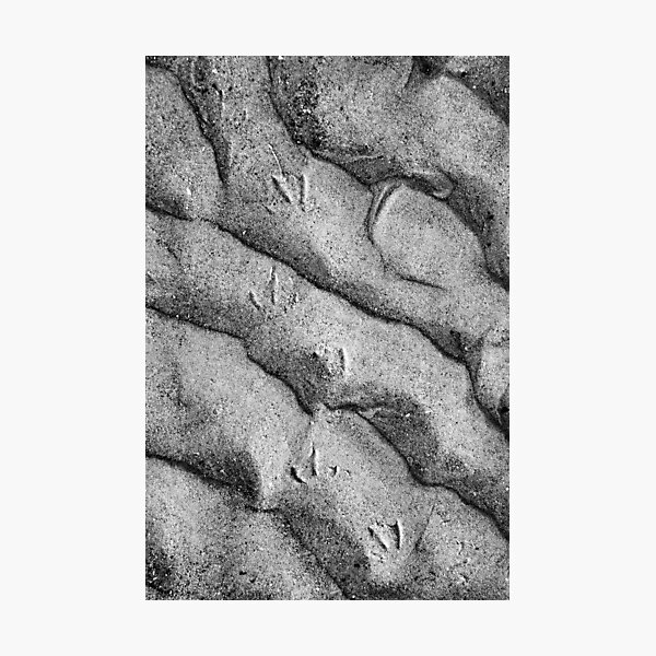 Item preview, Footprints in the Sand designed and sold by Lindamell.