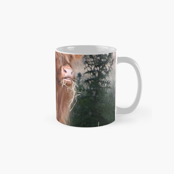 highland cattle at Bothwell, Tasmania Classic Mug