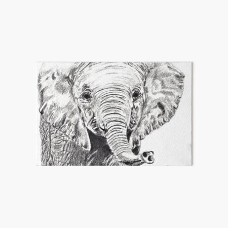 Baby Elefant Galeriedruck