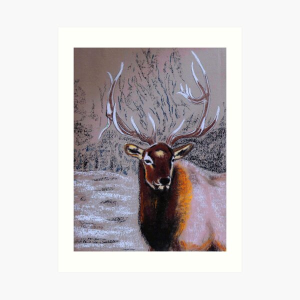 Stag Art Print