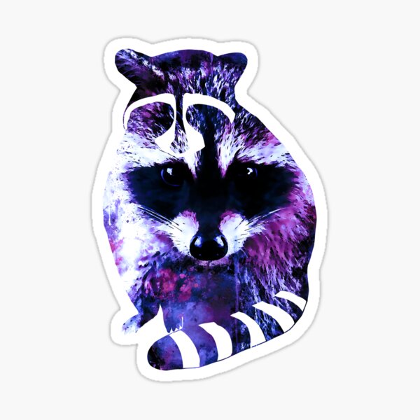 raccoon watercolor splatters blue purple Sticker