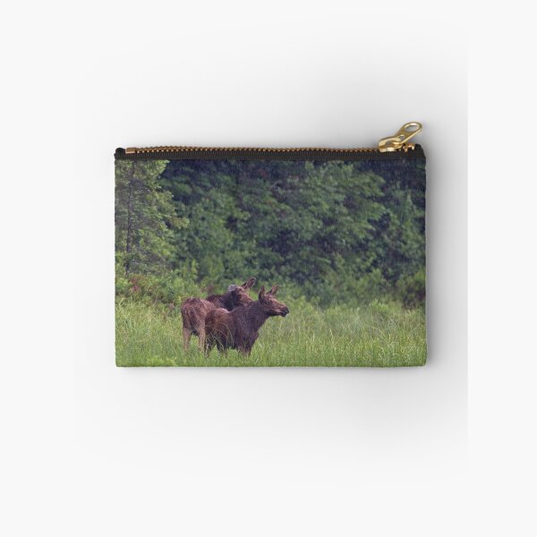 Item preview, Summer moose in rain, Algonquin Park designed and sold by James Cumming.