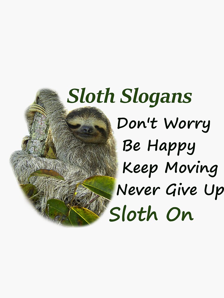 Sloth Slogans Sloth On Motivational And Inspirational Phrases