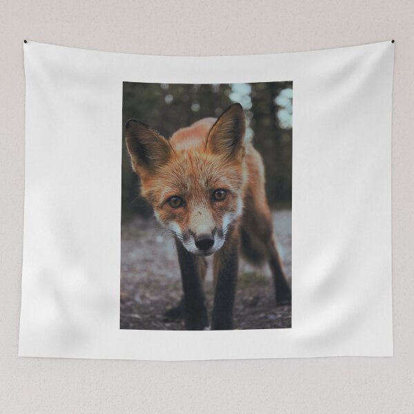 Item preview, Here’s Lookin at you Kit designed and sold by Minnie777.