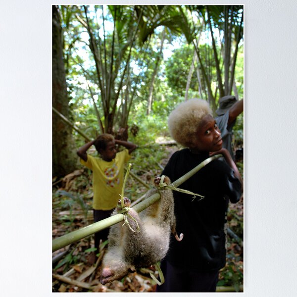 Item preview, Possum Boy, Solomon Islands. designed and sold by Stewart Allen.