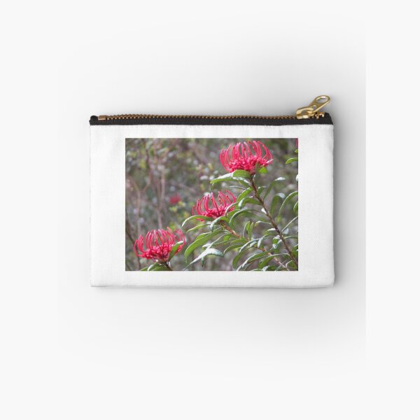 Item preview, Three Waratahs, King Billy Walk, Cradle Mountain, Tasmania,Australia. designed and sold by kaysharp.