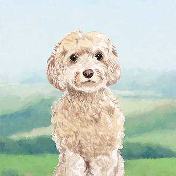 Artwork thumbnail, Cockapoo by Creative by Design