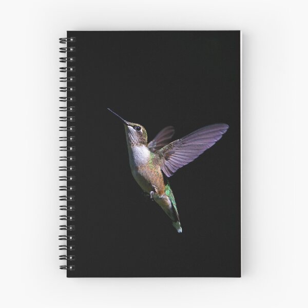 Item preview, Free - Ruby throated Hummingbird designed and sold by James Cumming.