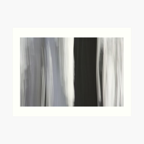 White & Black Trees Art Print