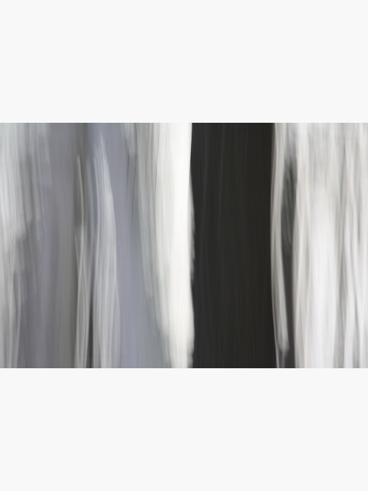White & Black Trees by LynnWiles