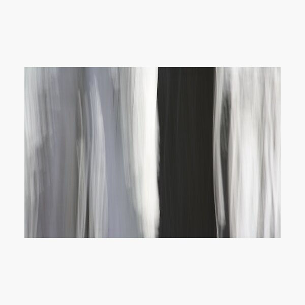 White & Black Trees Photographic Print