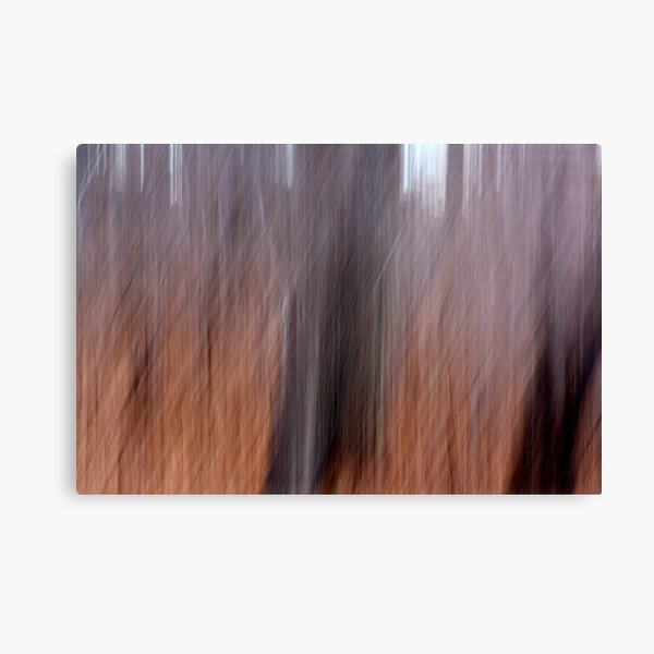 Bare Trees Autumn Leaves Canvas Print