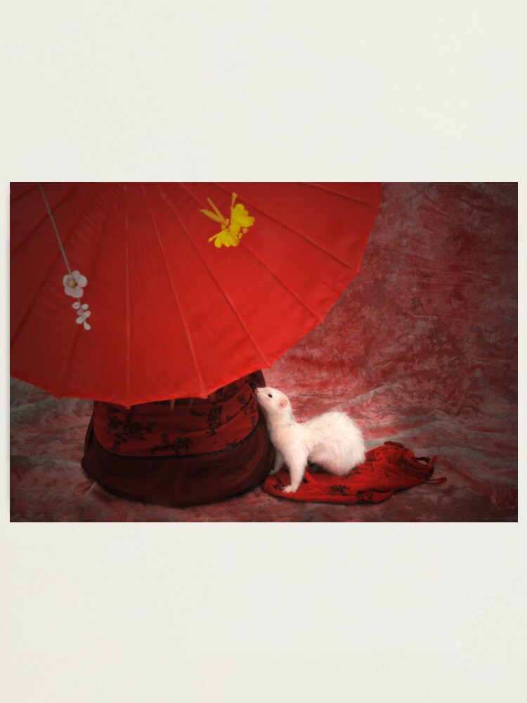 Alternate view of Red Passion Photographic Print