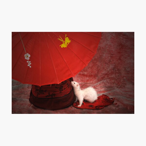 Red Passion Photographic Print