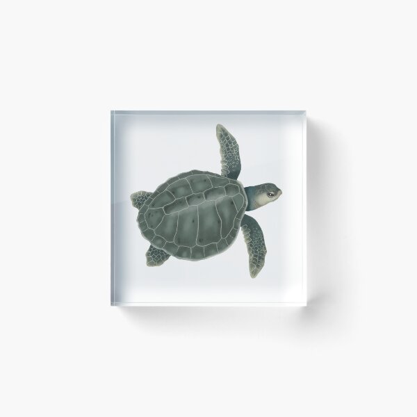 Item preview, Olive Ridley Sea Turtle designed and sold by Kelsey Danielle Art.