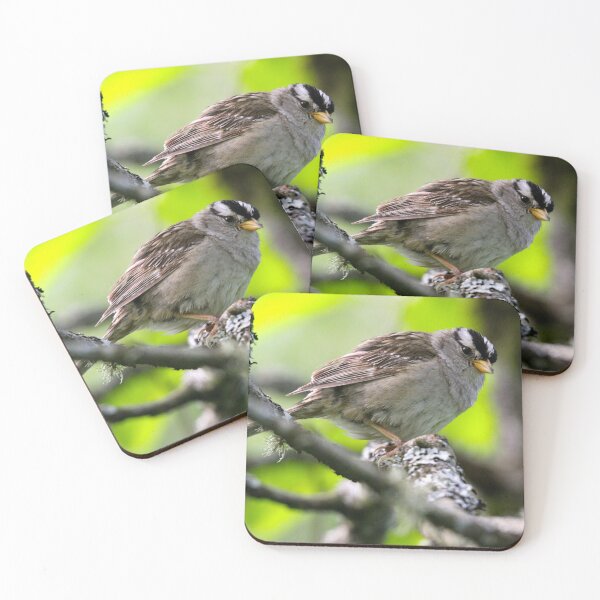 Item preview, White Crowned Sparrow... designed and sold by RichImage.