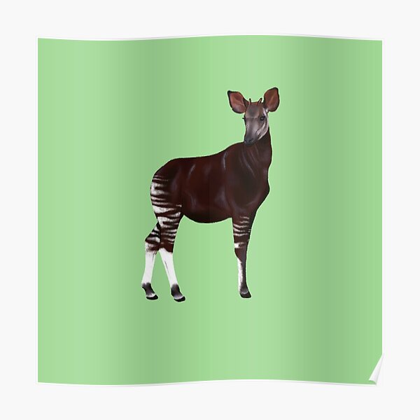 Okapi Poster