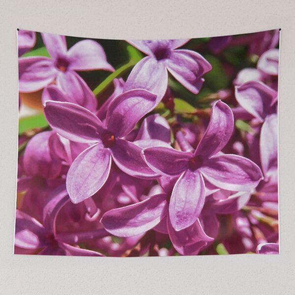 Item preview, Lilac Closeup designed and sold by Susan Savad.