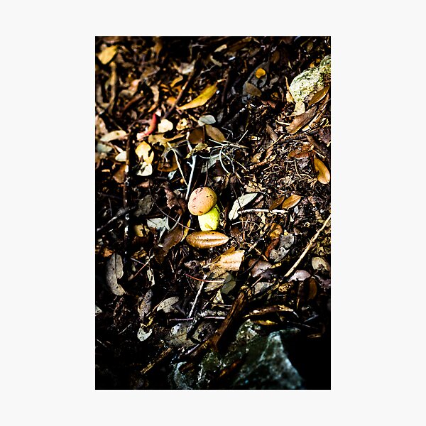 Item preview, The Lone Mushroom designed and sold by SESE.
