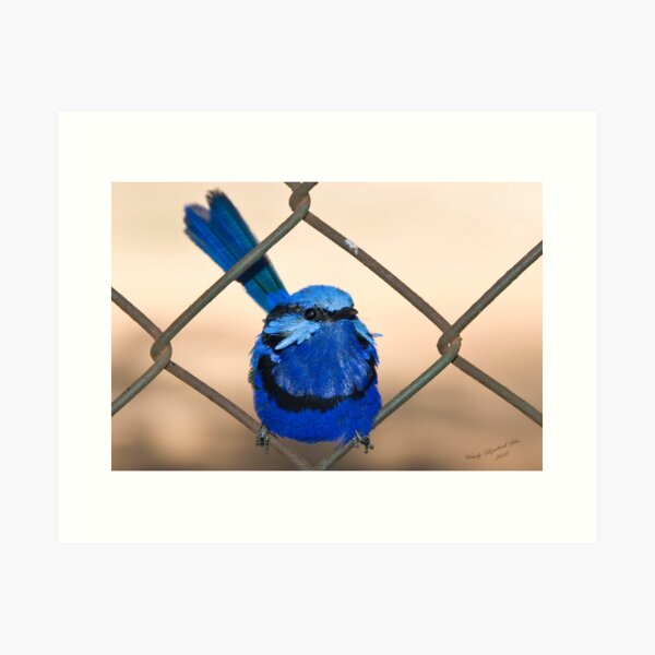 Item preview, Totally Blue ! designed and sold by Sunshiine - Wendy Slee.