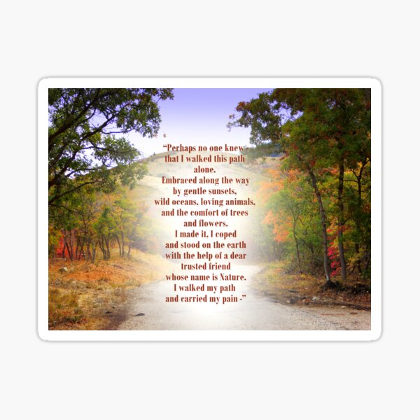 I travelled this journey alone Sticker