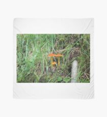 Toadstools Scarf