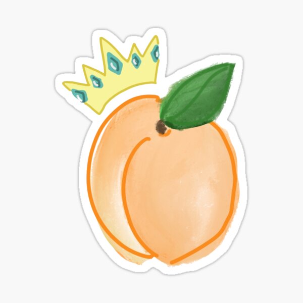rex orange county apricot princess merch