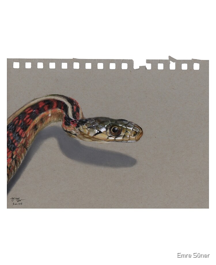 Epic 3D drawing a Snake! by Lineke-Lijn on DeviantArt