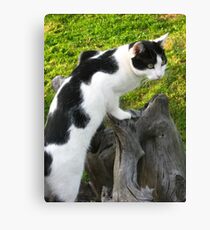 cita the brave Canvas Print